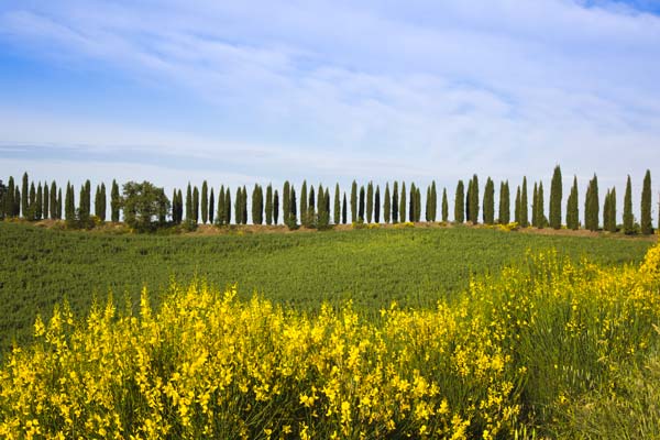 Toscana