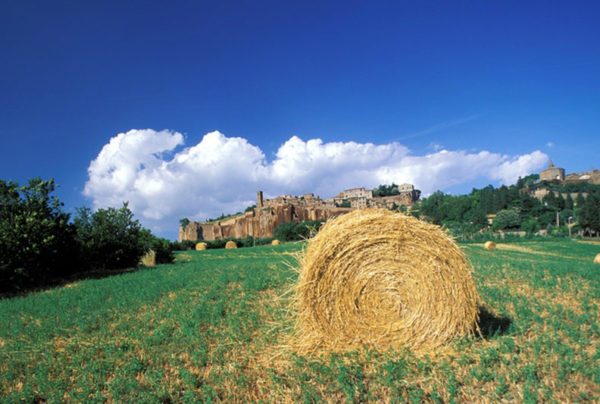 Marche: small region, great interest!