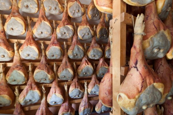 Hamfestival in San Daniele - Image 3