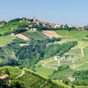 The discovery of Langa Astigiana