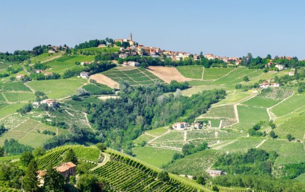The discovery of Langa Astigiana
