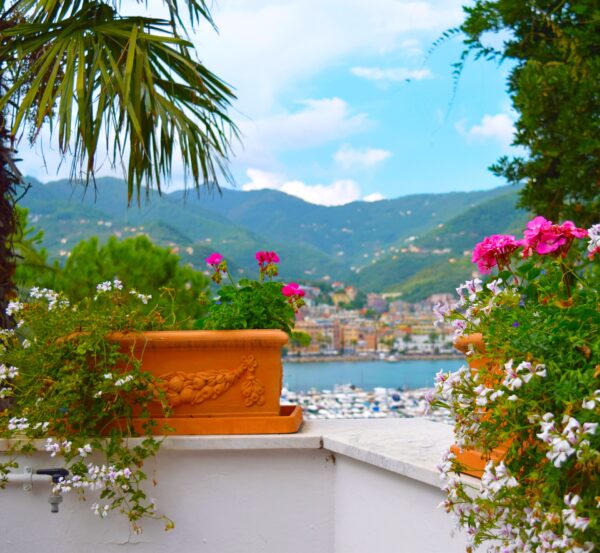 Brilliant colours of the Riviera