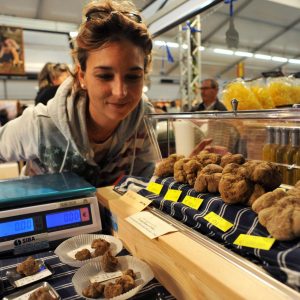In search of the famous truffle of Alba