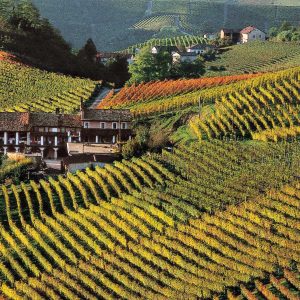 Asti and wine tasting in Monferrato