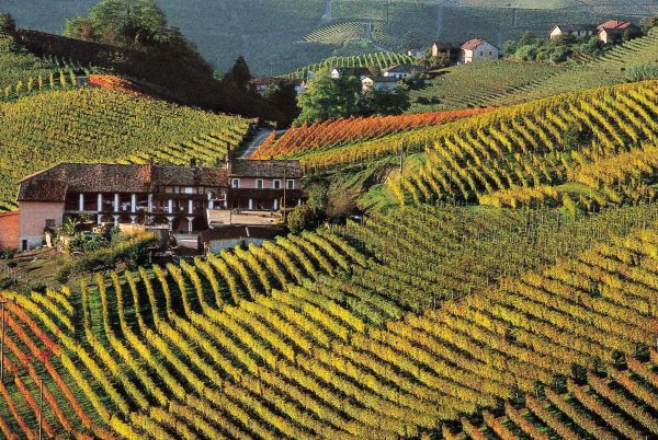 Asti and wine tasting in Monferrato