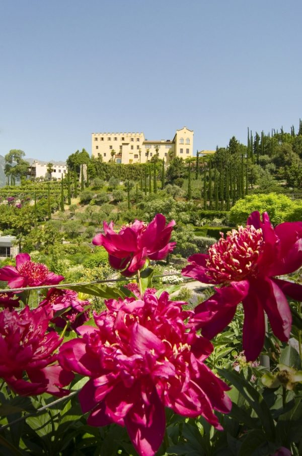 Trentino Alto Adige in tour - Image 3