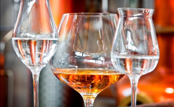 Wine and food tour in Piedmont - Image 2