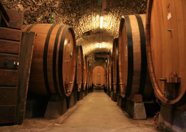 Alba and wine tasting in the Langhe - Image 3
