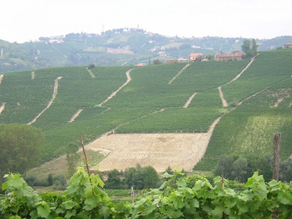 Asti and wine tasting in Monferrato - Image 3