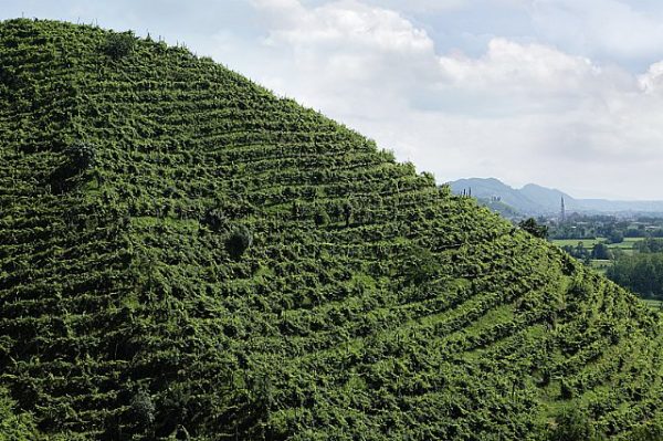 Prosecco sparkling wine route - Image 2
