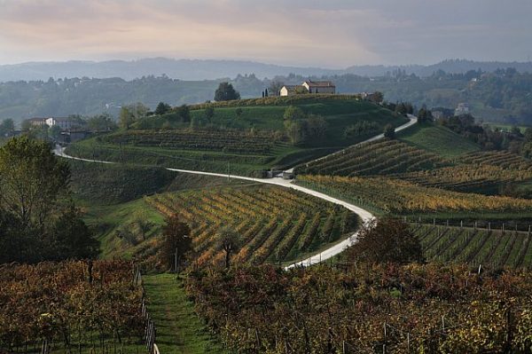 Prosecco sparkling wine route - Image 3