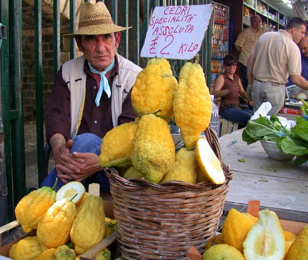 Farm Estate Il Limoneto - San Leonardello (Catania)