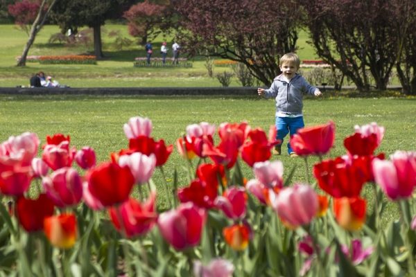 The finest gardens in the Veneto - Image 2