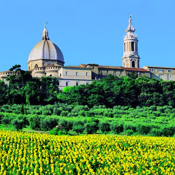 Marche: small region, great interest! - Image 3