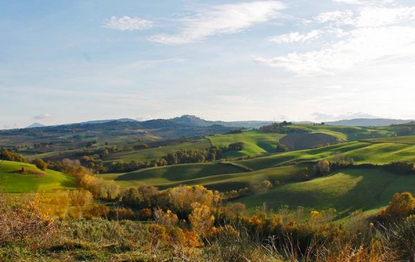 Our autumn bestseller: Olio nuovo and vino buono! - Image 3