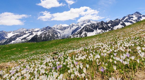 Trentino aus einem anderen Blickwinkel – Bild 3