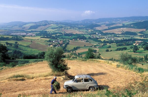 Mum is still cooking in Umbria - Image 3