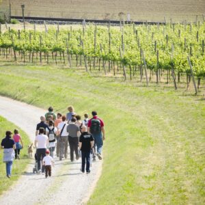 Taste and culture: Brescia, Bergamo, Franciacorta & Lake Iseo