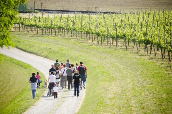 Taste and culture: Brescia, Bergamo, Franciacorta & Lake Iseo