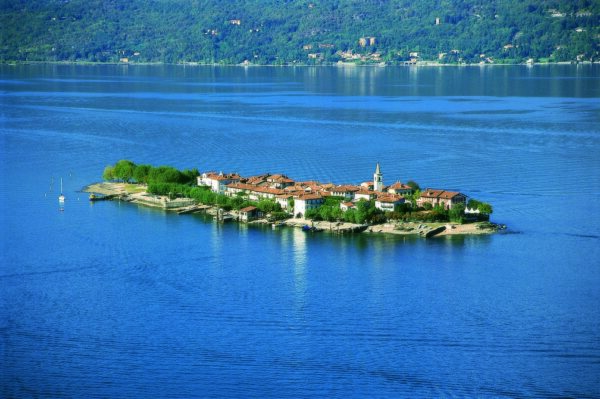 Camellia blossom on Lake Maggiore - Image 2