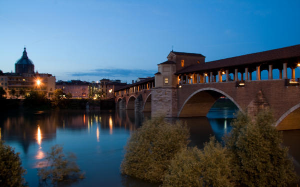 Pavia and the Charterhouse - Image 3