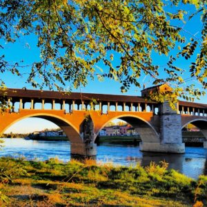 Pavia and the Charterhouse
