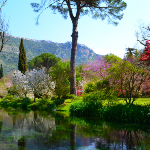 Ninfa Oasis: the most beautiful garden in the world