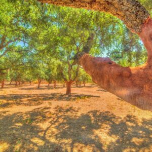 Traumhaftes Schnäppchen Sardinien