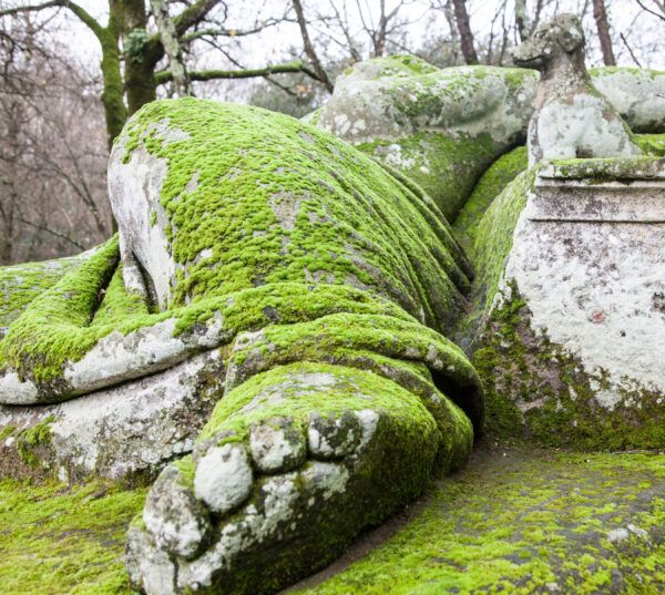 Viterbo and Villa Lante/Bomarzo - Image 2