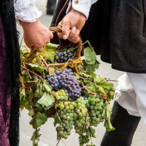 Sardinien zwischen Handwerkerleben und landwirtschaftlicher Leidenschaft