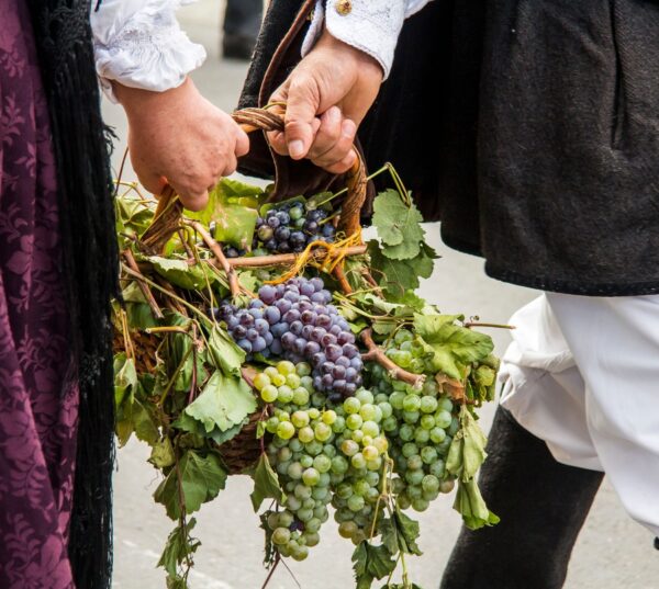 Sardinien zwischen Handwerkerleben und landwirtschaftlicher Leidenschaft