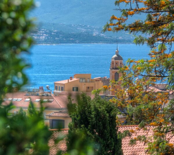 In the south of Corsica: a trip to spiralling beauties - Image 2