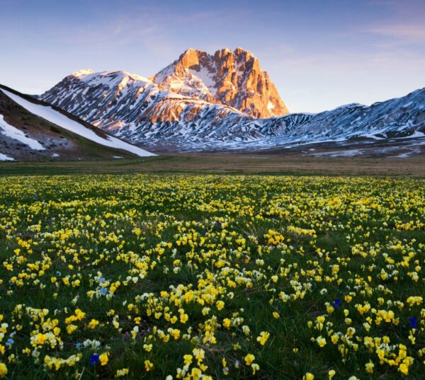 Trentino aus einem anderen Blickwinkel – Bild 2