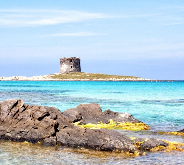 Sardinia, almost a continent… - Image 2