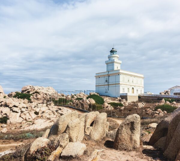 Nature and food tour in northern Sardinia - Image 2