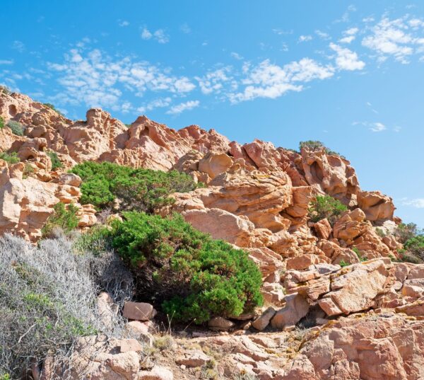 Nature and food tour in northern Sardinia - Image 3