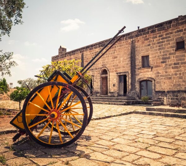 The atmosphere of a real apulian Masseria - Image 3