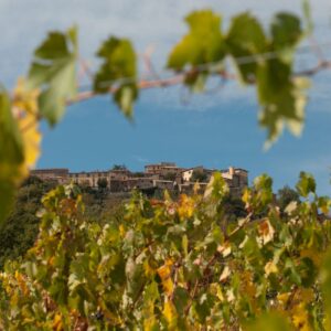 Montalcino, Pienza and Montepulciano