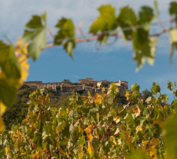 Montepulciano - Pienza - Montalcino – Bild 2