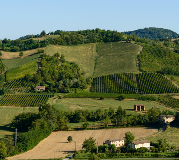 Piacenza and its castles - Image 3