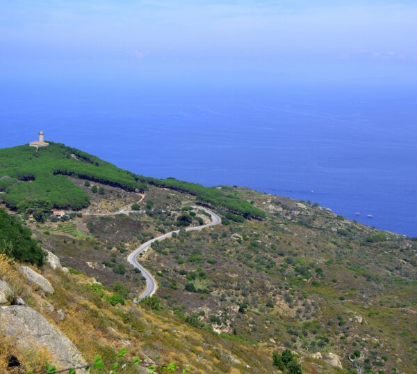 Giglio Island - Image 2