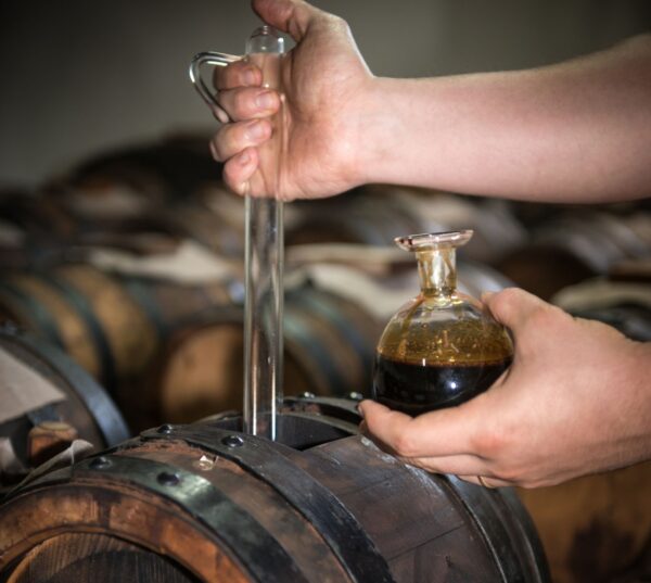 Gourmet tour of Emilia Romagna - Image 3