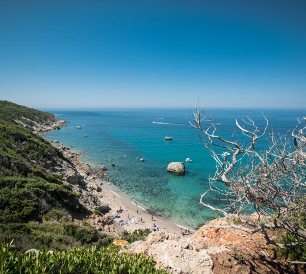 Die Insel Giglio