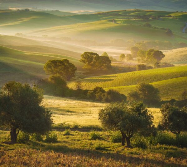 Delightful walks  in Southern Tuscany - Image 3