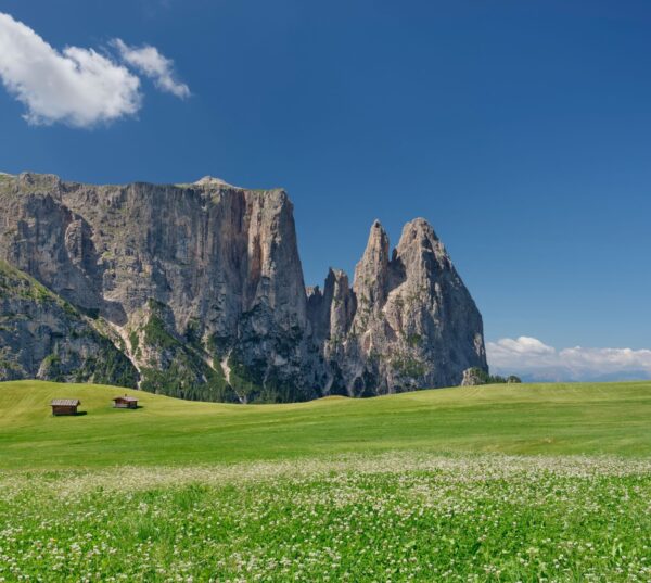 Quick portrait of South Tyrol - Image 3