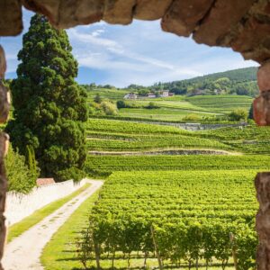 Quick portrait of South Tyrol