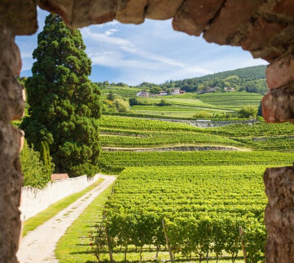 Quick portrait of South Tyrol