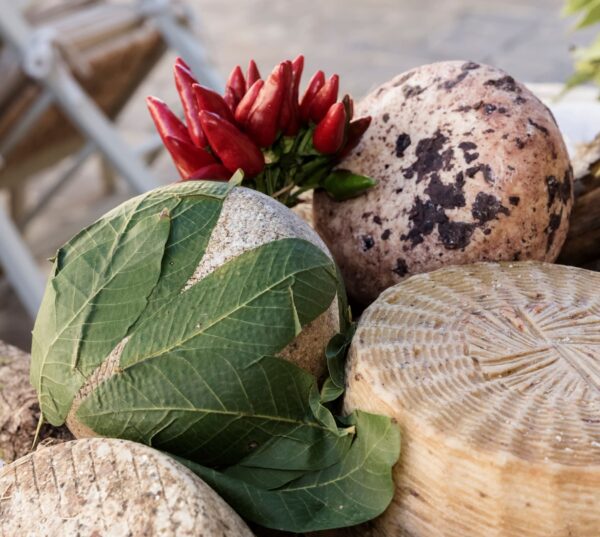 Delightful walks  in Southern Tuscany - Image 2