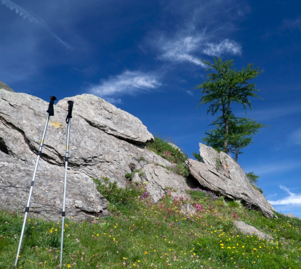 A walking programme for everyone - Image 3