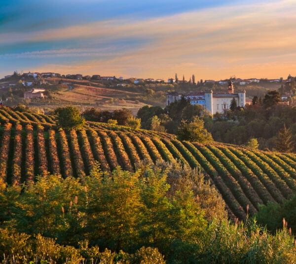 Asti und Weinverkostung im Monferrato – Bild 2